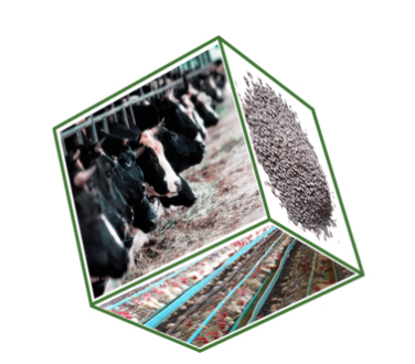 Urea Phosphate / Urea phosphate salt;